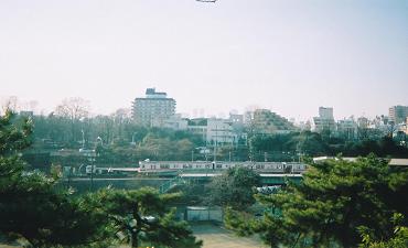 Tv摜